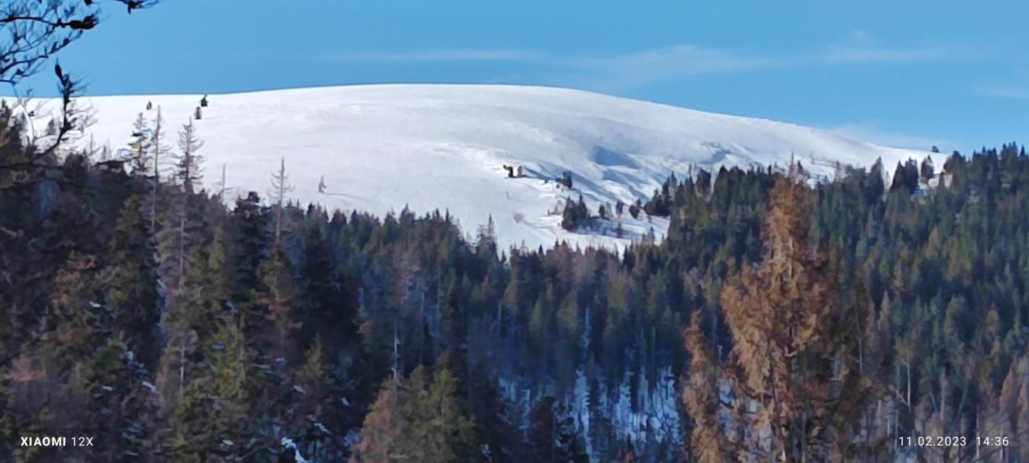 Schicke Ferien Wohnung Mit Tollem Ausblick In Schwarzwald. 菲林根-施文宁根 外观 照片